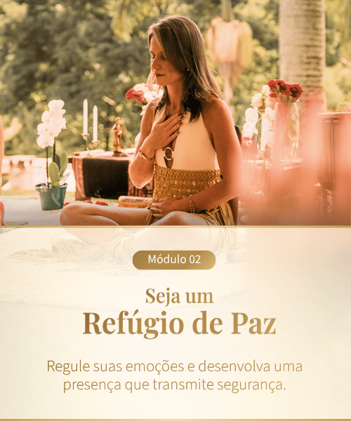 Cápsula 2